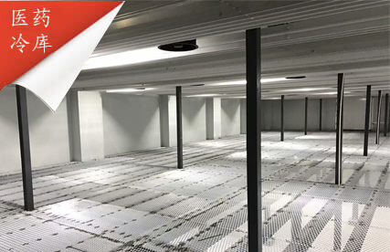 海南醫(yī)藥冷庫(kù)設(shè)計(jì)安裝案例